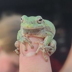 Meet your Posher, Trinitee